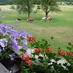 Nagelehof 3